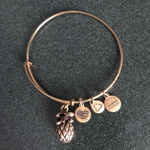 Alex and Ani Expandable Wire Bracelet Pineapple Charm - Picture 9 of 13